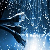 1000TVL Cameras